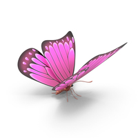 Pink Butterfly PNG & PSD Images