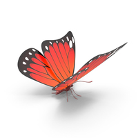 Red Butterfly PNG & PSD Images