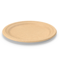 Recycled Paper Plate PNG & PSD Images