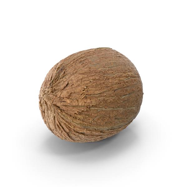 Coconut PNG & PSD Images