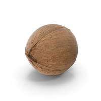 Coconut PNG & PSD Images