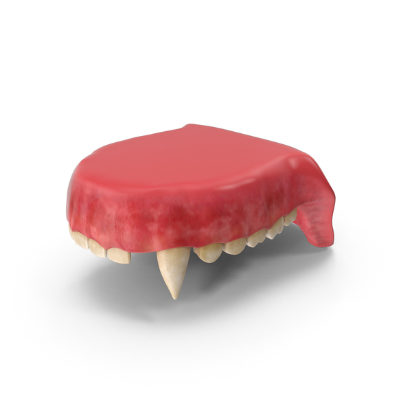 Creature Upper Jaw PNG & PSD Images