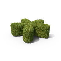 Grass Asterisk Symbol on Ground PNG & PSD Images