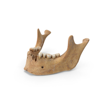 Human Jawbone PNG & PSD Images