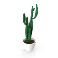 Cartoon Potted Cactus PNG & PSD Images