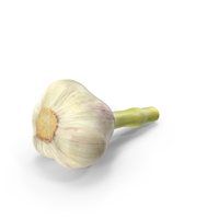 Hardneck Garlic PNG & PSD Images