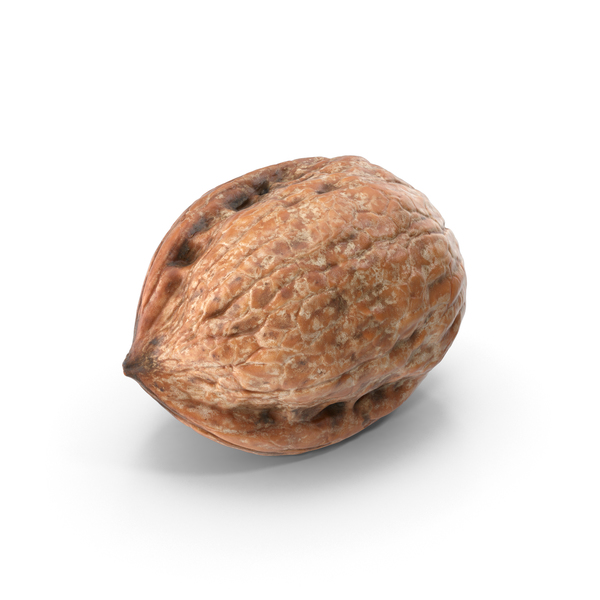 Walnut PNG & PSD Images