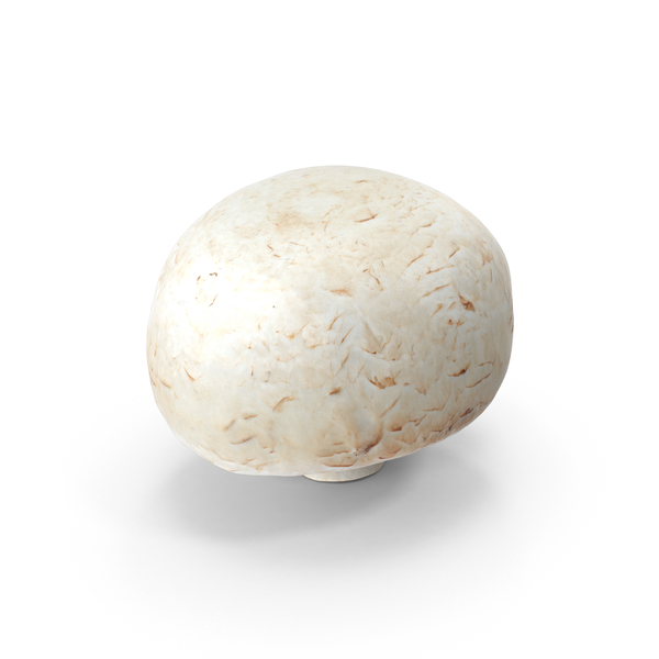 白色纽扣蘑菇PNG和PSD图像