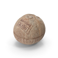 Coconut PNG & PSD Images