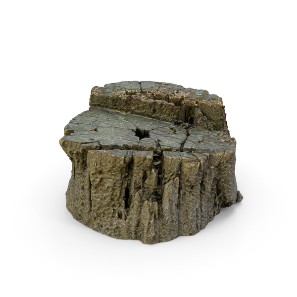 Tree Stump PNG & PSD Images