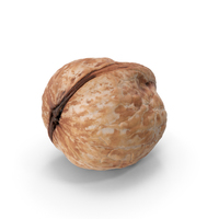 Walnut PNG & PSD Images