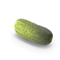Pickling Cucumber PNG & PSD Images