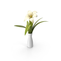 Flower in a Vase PNG & PSD Images