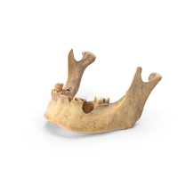 Human Jawbone PNG & PSD Images