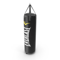 Everlast Heavy Bag PNG & PSD Images