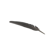 Quill Pen PNG & PSD Images