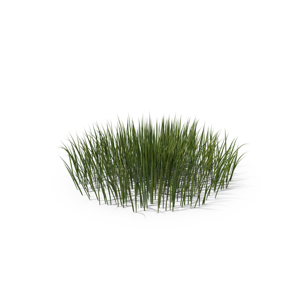 Patch of Grass PNG & PSD Images Patch of Grass PNG & PSD Images