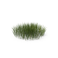 Patch of Grass PNG & PSD Images