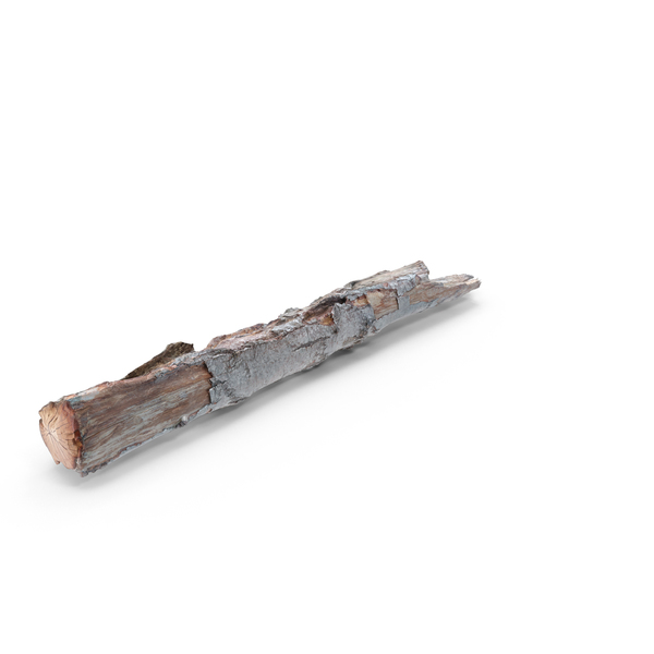 Broken Tree PNG & PSD Images