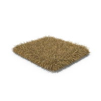Grass Shape PNG & PSD Images