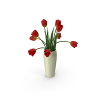 Tulips in a Vase PNG & PSD Images
