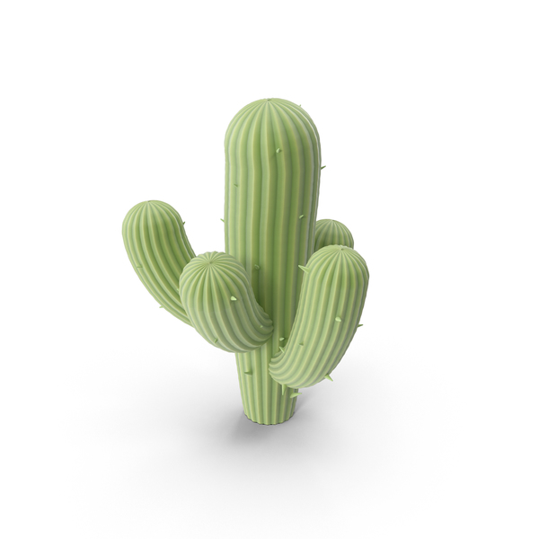 Cactus PNG & PSD Images