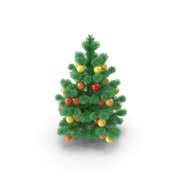 Small Pine PNG & PSD Images