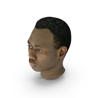 Head Daniel PNG & PSD Images