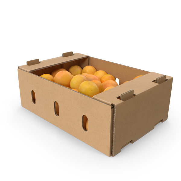 Cardboard Box with Grapefruits PNG & PSD Images
