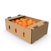 橙色橙色PNG和PSD图像的纸板箱