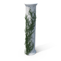Growing Ivy PNG & PSD Images