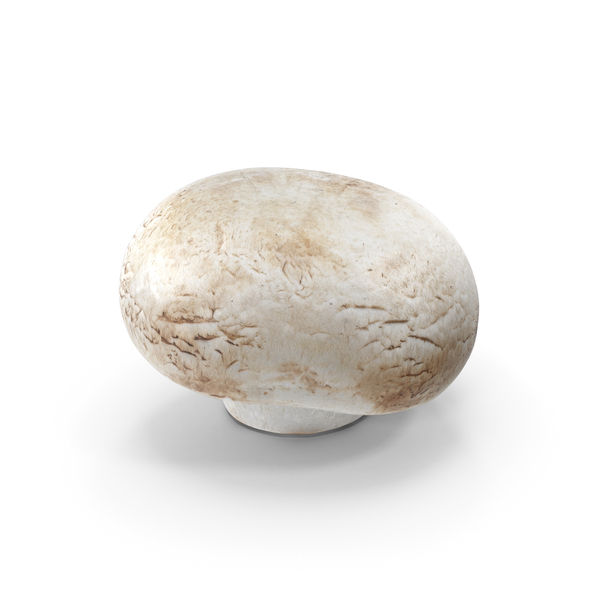 White Button Mushroom PNG & PSD Images