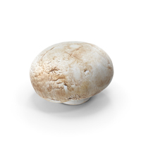 White Button Mushroom Short Stem PNG & PSD Images
