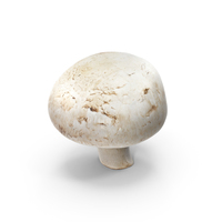 White Button Mushroom Long Stem PNG & PSD Images