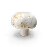 White Button Mushroom Medium Stem PNG & PSD Images
