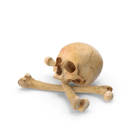 海盗头骨和骨骼组成PNG和PSD图像