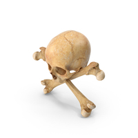 Pirate Skull and Bones PNG & PSD Images