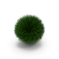 Grass Ball PNG & PSD Images