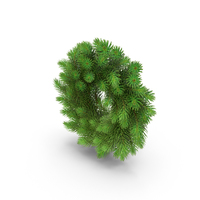 Christmas Wreath PNG & PSD Images