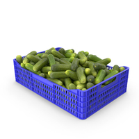 Cucumbers Gherkin in Plastic Crate PNG & PSD Images