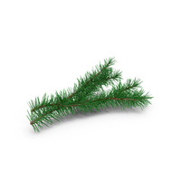 Pine Tree Sprig PNG & PSD Images