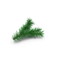 Pine Tree Sprig PNG & PSD Images