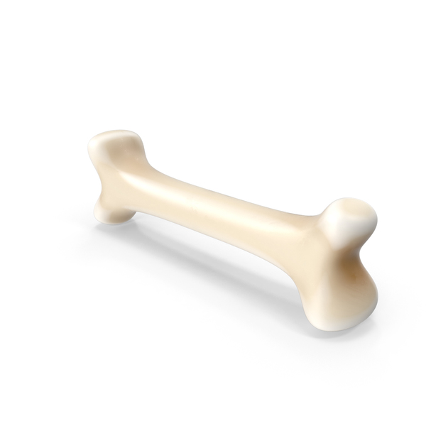 Cartoon Bone PNG & PSD Images