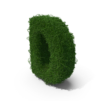 Boxwood D PNG & PSD Images