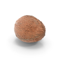 Coconut PNG & PSD Images