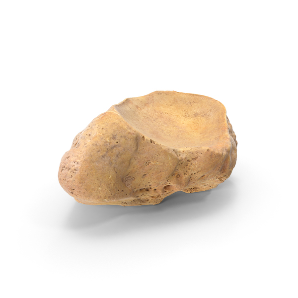 Navicular Bone PNG & PSD Images