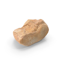 Cuneiform Bone Medial PNG & PSD Images
