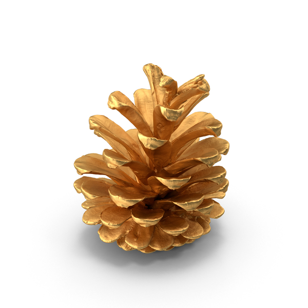 Pine Cone Gold PNG & PSD Images