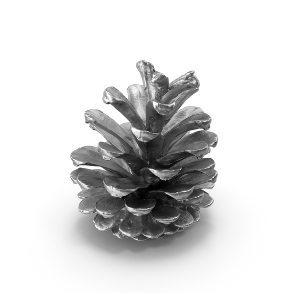 Pine Cone Silver PNG & PSD Images