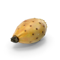 Cactus Fig PNG & PSD Images